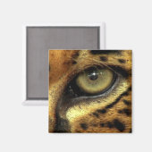 OOG VAN JAGUAR Big Cat Wildlife Magnet (Voorkant / Achterkant)