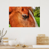 Oog van kastanje Gelding Horse Equine Foto 2 Poster (Keuken)