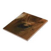 Oog van paarden tegeltje (Zijkant)