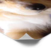 Oog van Pie Poster (Hoek)