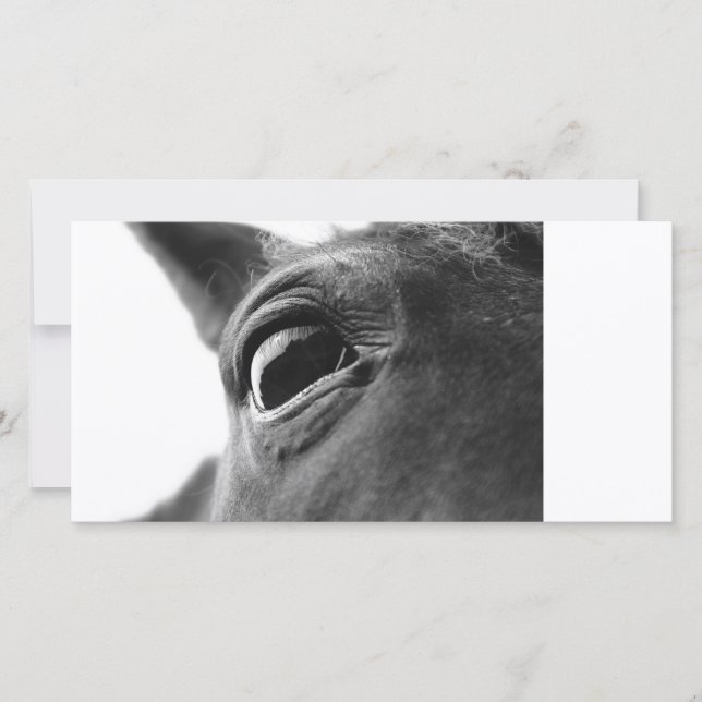 Oog van pony 1 (Voorkant)