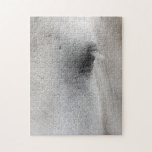 Oog van wit paard dier legpuzzel