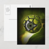 Oog zal je in de tuin zien, vanavond! briefkaart (Voorkant / Achterkant)