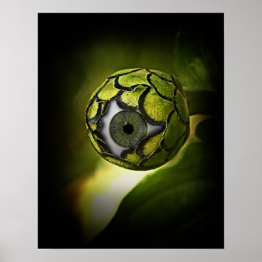 Oog zal je in de tuin zien, vanavond! poster (Voorkant)