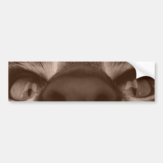 oog zie je bumpersticker (Voorkant)