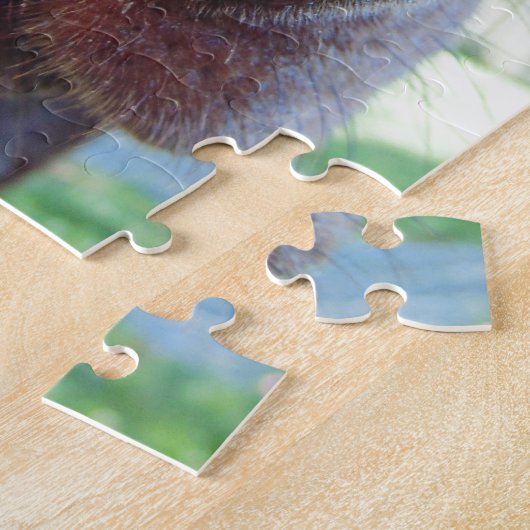 Oogaandoeningen Legpuzzel (Zijkant)