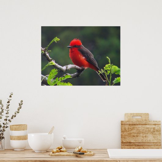 Oogaandoeningen Poster (Keuken)