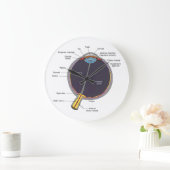 Ooganatomische wandklok (Huis)