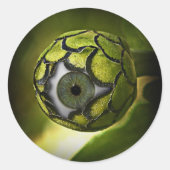 Oogbal Tuin Plant Ronde Sticker (Voorkant)