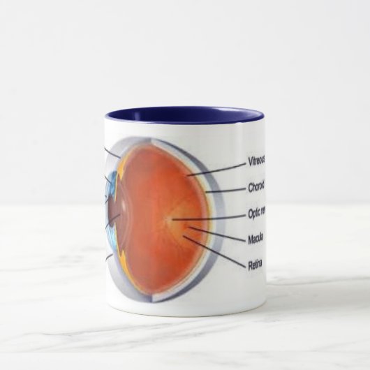 oogbekertje II Mok (Midden)