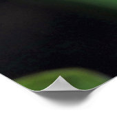 Oogbloem met Lotus Flower Blossom Poster (Hoek)