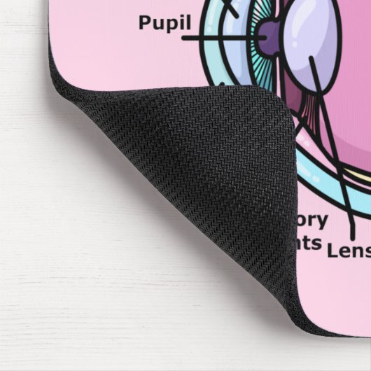 Oogdiagram Muismat (Hoek)