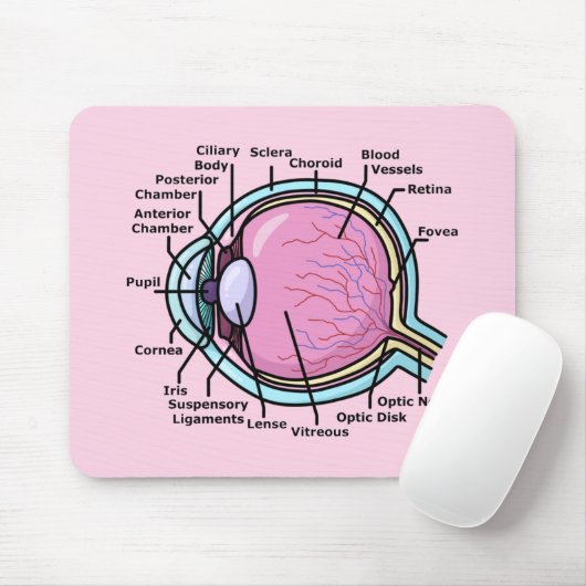 Oogdiagram Muismat (Met muis)