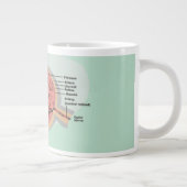 Oogdiagram voor de nationale oogmaand grote koffiekop (Rechts)