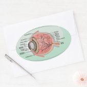 Oogdiagram voor de nationale oogmaand ovale sticker (Envelop)