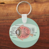 Oogdiagram voor de nationale oogmaand sleutelhanger (Voorkant)