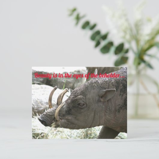 Oogdieren, Babirusa Briefkaart (Staand voorkant)
