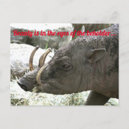 Oogdieren, Babirusa Briefkaart