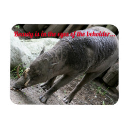 Oogdieren, Babirusa Magneet