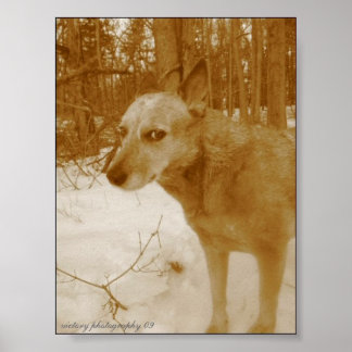 Oogdruk op het aambeeld poster