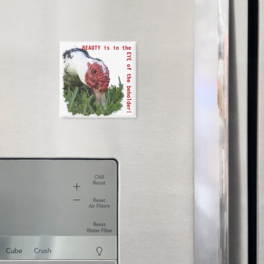 Oogfoto van de dichte Duck Magneet (Insitu (Koelkast))