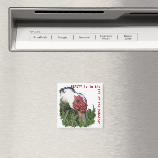 Oogfoto van de dichte Duck Magneet (Insitu (Vaatwasser))