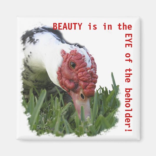 Oogfoto van de dichte Duck Magneet (Voorkant)