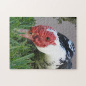 Oogfoto van Duck Close-up Legpuzzel (Horizontaal)