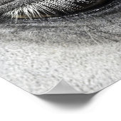 Oogfoto's, kunst in de buurt van paardenkunst poster (Hoek)