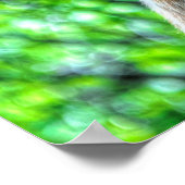 Oogfoto's van paardenpest White Ranch Mare 2 Poster (Hoek)