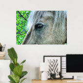Oogfoto's van paardenpest White Ranch Mare 2 Poster (Thuiskantoor)