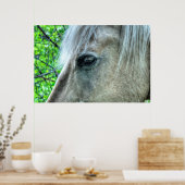 Oogfoto's van paardenpest White Ranch Mare 2 Poster (Keuken)