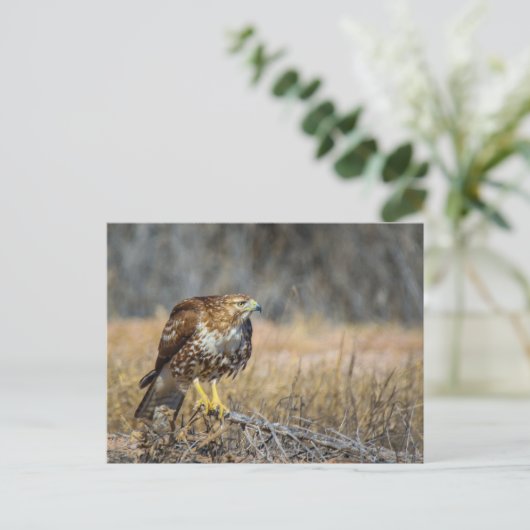 oogje briefkaart (Staand voorkant)