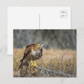 oogje briefkaart (Voorkant / Achterkant)