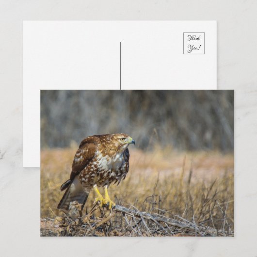 oogje briefkaart (Voorkant / Achterkant)