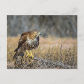 oogje briefkaart (Voorkant)