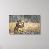 oogje canvas afdruk (Voorkant)