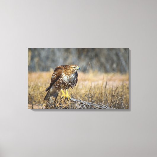 oogje canvas afdruk (Voorkant)