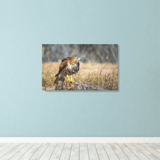 oogje canvas afdruk (Insitu (Houten vloer))