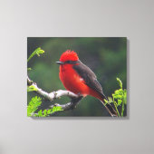 Oogje naar oogverrekte canvas afdrukken (Voorkant)