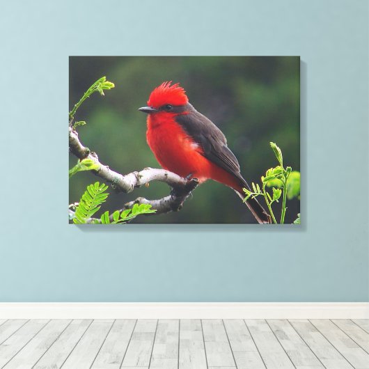 Oogje naar oogverrekte canvas afdrukken (Insitu (Houten vloer))