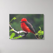 Oogje naar oogverrekte canvas afdrukken (Voorkant)