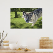 Oogmutte Poster (Keuken)