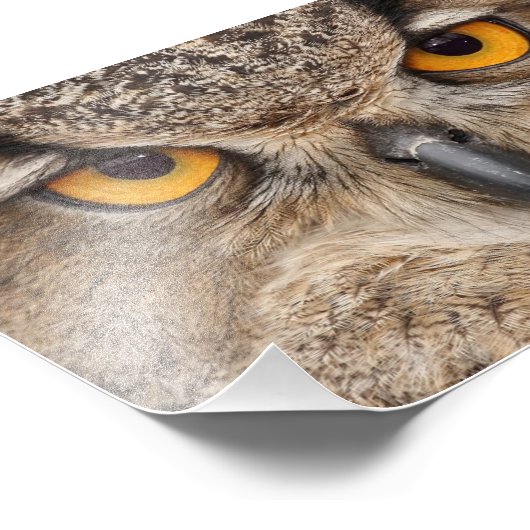 Oogogen Foto Afdruk (Hoek)