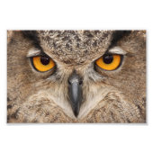 Oogogen Foto Afdruk (Voorkant)