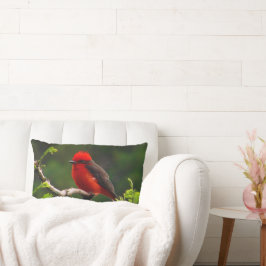 Oogoog aan Eye Lumbar Pillow Kussen