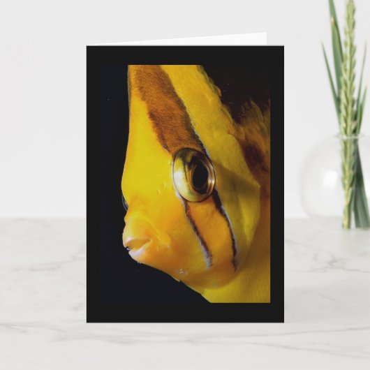 Oogoog aan oog kaart (Voorkant)