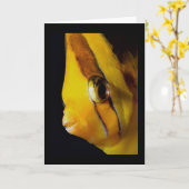 Oogoog aan oog kaart (Gele Bloem)