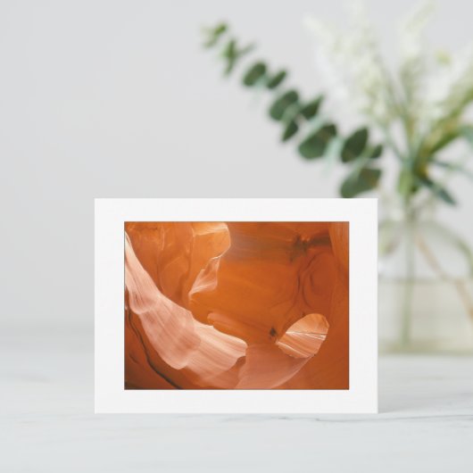 "Oogoog van de adelaar" Briefkaart (Staand voorkant)