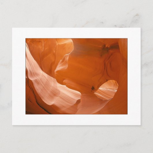 "Oogoog van de adelaar" Briefkaart (Voorkant)